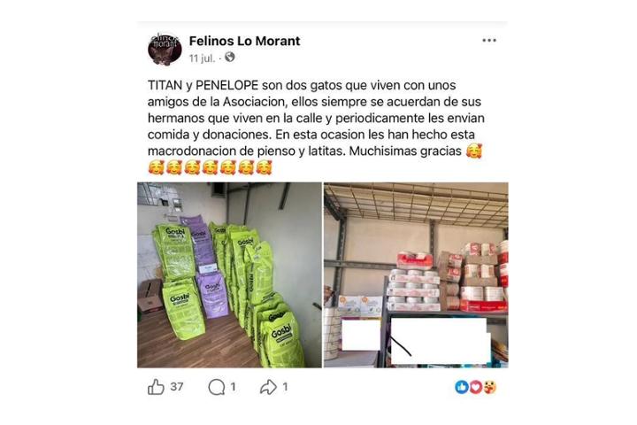 Querid@s Teamers! os enviamos fotito de la ultima donación que hicimos a la ASOCIACION FELINOS LO MORANT, el 11 de Julio ellos hicieron el post podéis seguirlos en su Facebook o incluso aqui mismo en su grupo de teaming que tiene su mismo nombre.<br>Hemos ocupados los productos que aparecían en la foto que nosotros no habíamos donado. Siempre nos gusta se transparentes con la información y como veis fue una donación muy importante tanto de pienso como de humectas! Cada 1€ que donáis en este grupo esta muy bien invertido en todos los gatitos que ayudamos! Gracias, Titán & Penélope