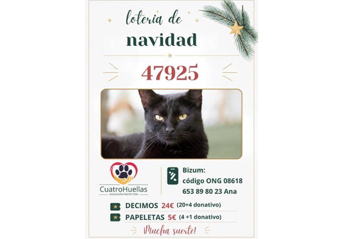 Querida Familia Huellerita .<br><br>¡¡Ya tenemos disponible nuestra Lotería de Navidad!!.<br><br>Parece un poco extraño, con nuestro país rozando los 40 grados, pero es que en breve tenemos los polvorones en el Supermercado y Mariah Carey empieza a descongelarse . Su operación es este fin de semana y necesitamos recaudar su factura.<br><br>¡¡No esperes más y reserva el tuyo!!. Puedes escribir en Instagram o al correo infocuatrohuellas@gmail.com<br><br>Y si te lo quieres llevar en persona, el sábado 12 y 26 de septiembre puedes hacerlo en nuestro Mercadillo Solidario en Tiendanimal en ISLAZUL.<br><br>Muchas gracias por ayudarnos a ayudarles .<br><br>☎️ 653898023<br><br>#refugiodegatos#adoptanocompres #michis#cats #help