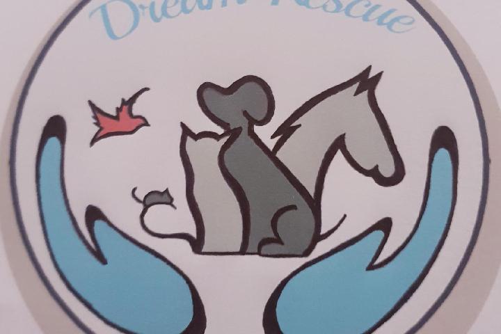 Dream' Rescue