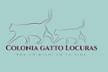 Colonias Gatto Locuras