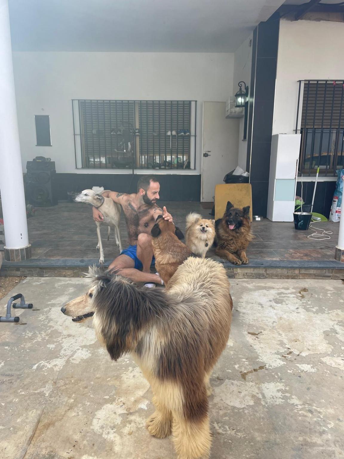 Lospeludosdelagranja