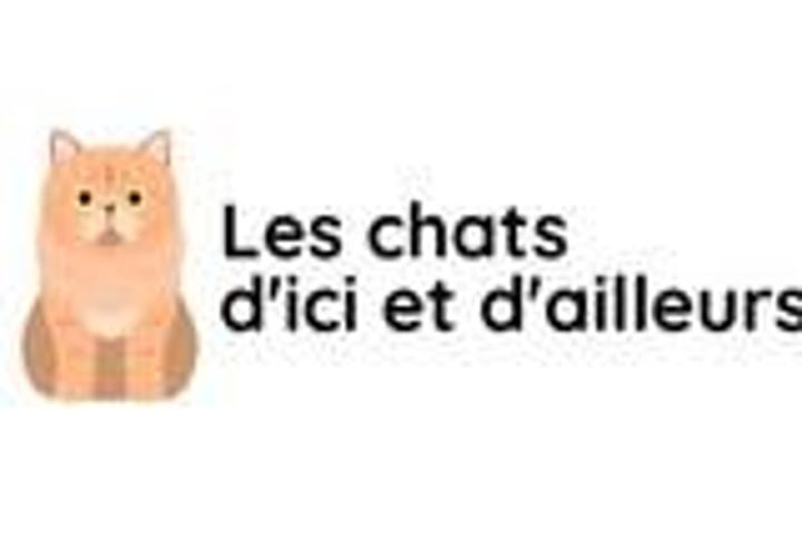 LES CHATS D'ICI ET D'AILLEURS