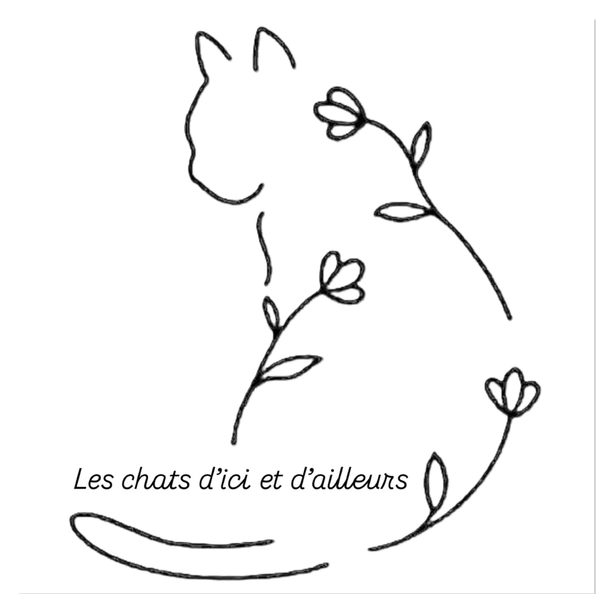 LES CHATS D'ICI ET D'AILLEURS
