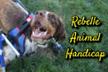 Rebelle Animal Handicap