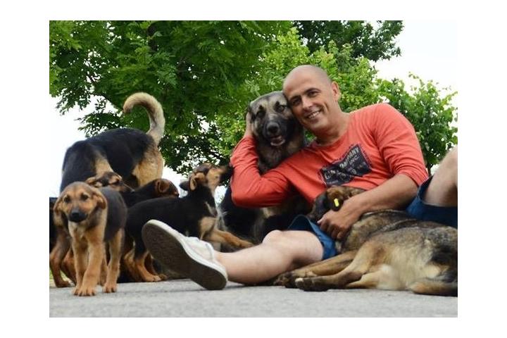 Help Caki Bravo's dogs of Bosnia