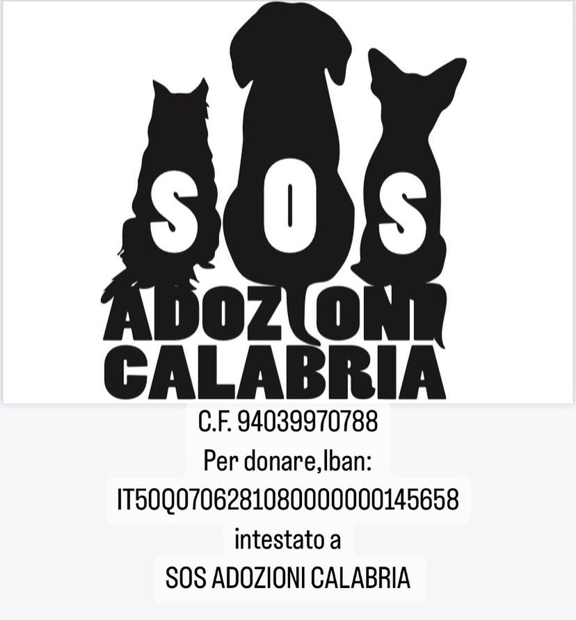SOS Adozioni Calabria