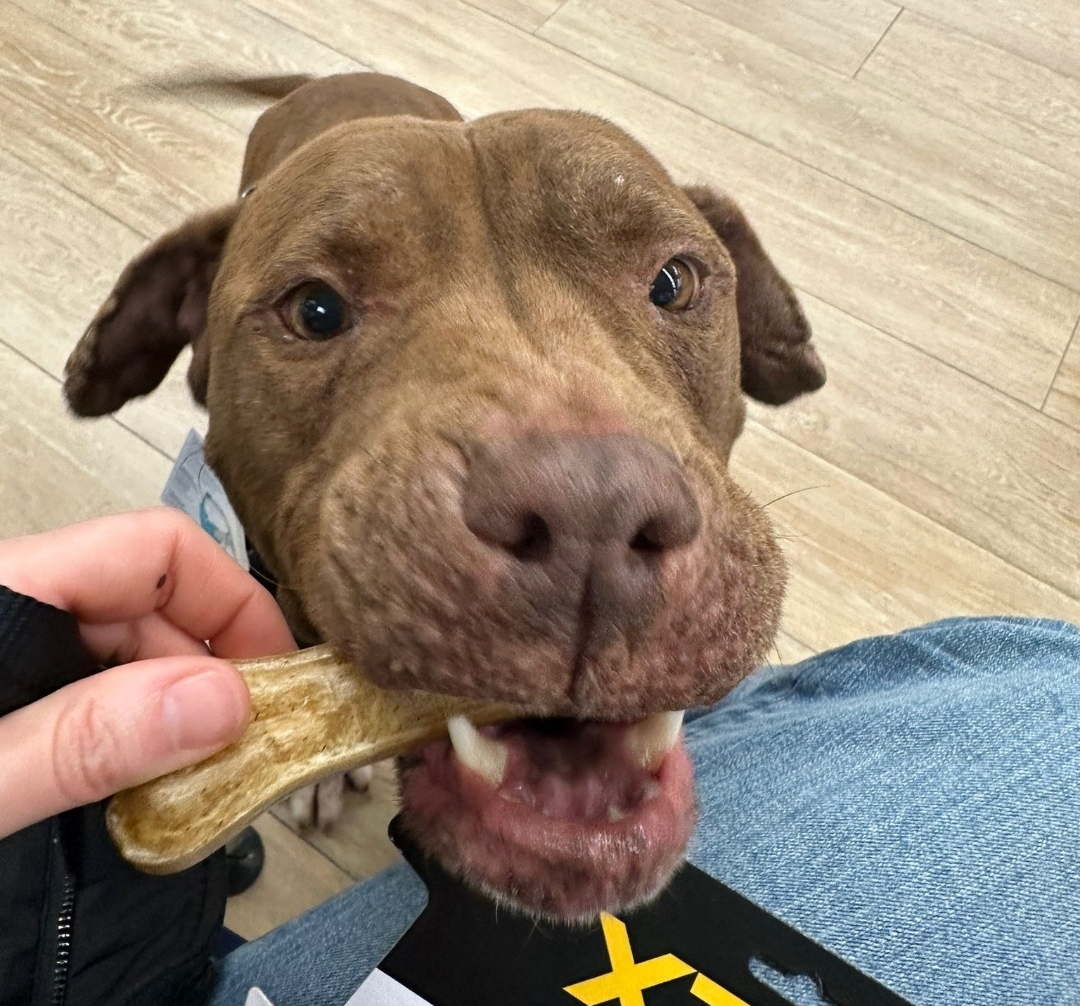 Gastos residencia Simona 125€/mes