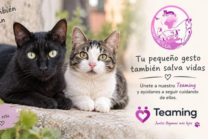 Imatge de El Refugio de Tula Sagunto