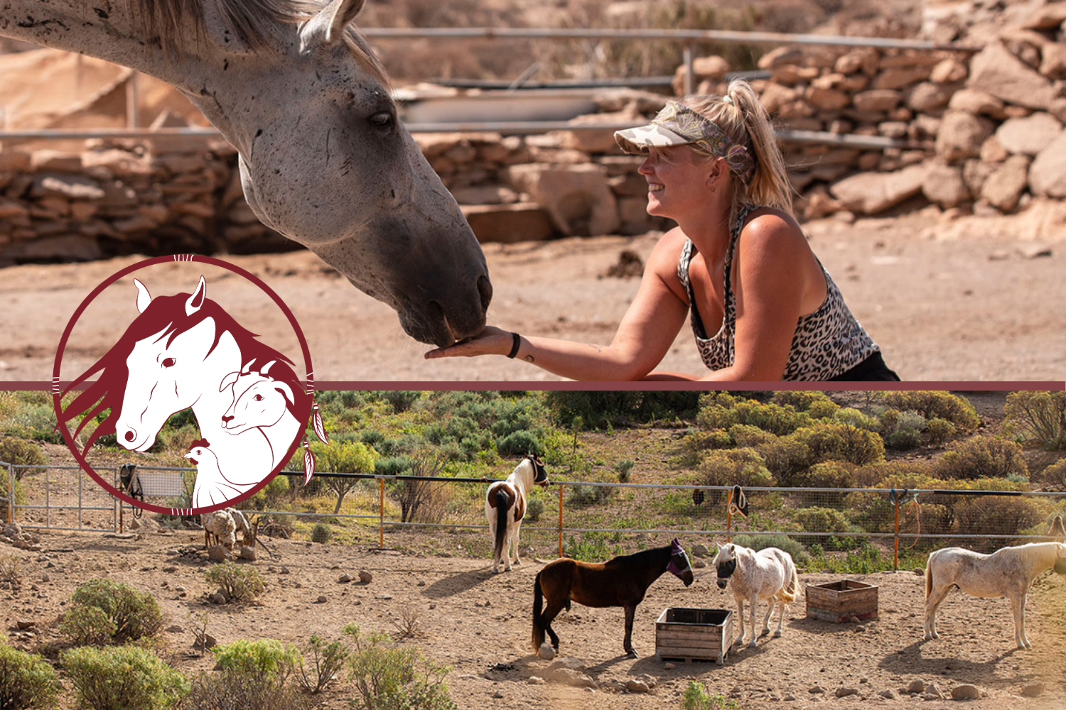 Tenerife Animal Sanctuary