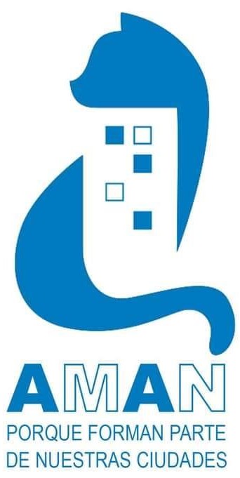 TEAMING ASOCIACIÓN AMAN