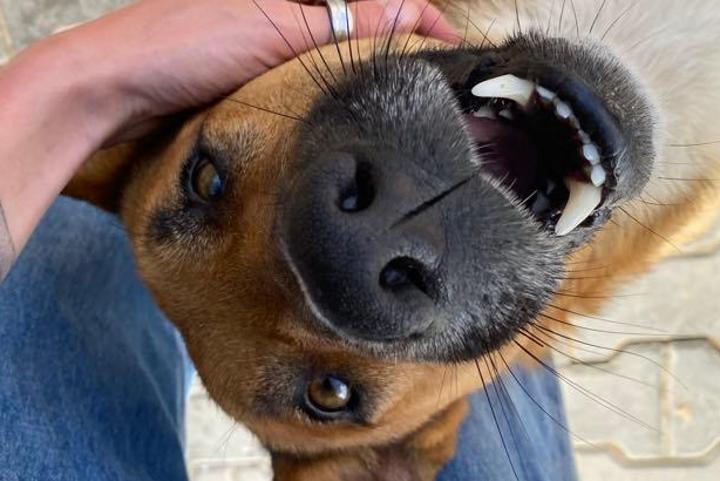 1€ par mois pour changer leur vie !