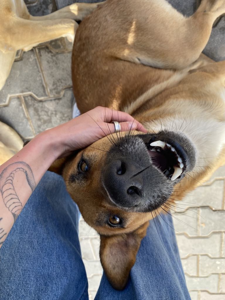 1€ par mois pour changer leur vie !