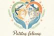 Patitas Felinas. Asociación protectora de animales