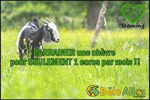 Bêle Alice association - sanctuaire