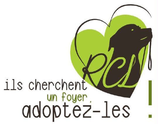 Soutien Au Refuge Canin Lotois