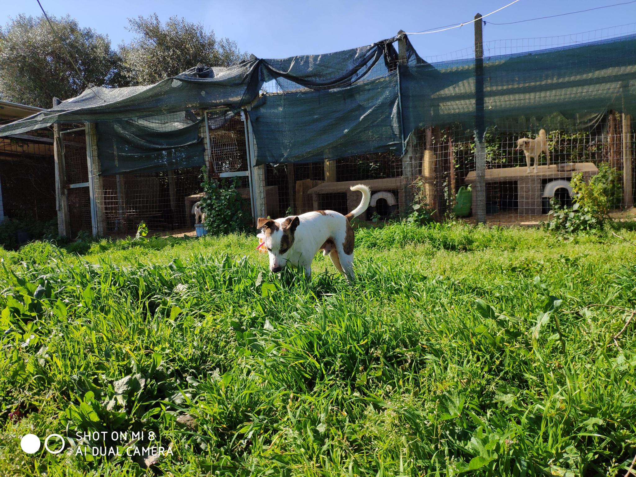 Il Rifugio di Iaia - Narbolia