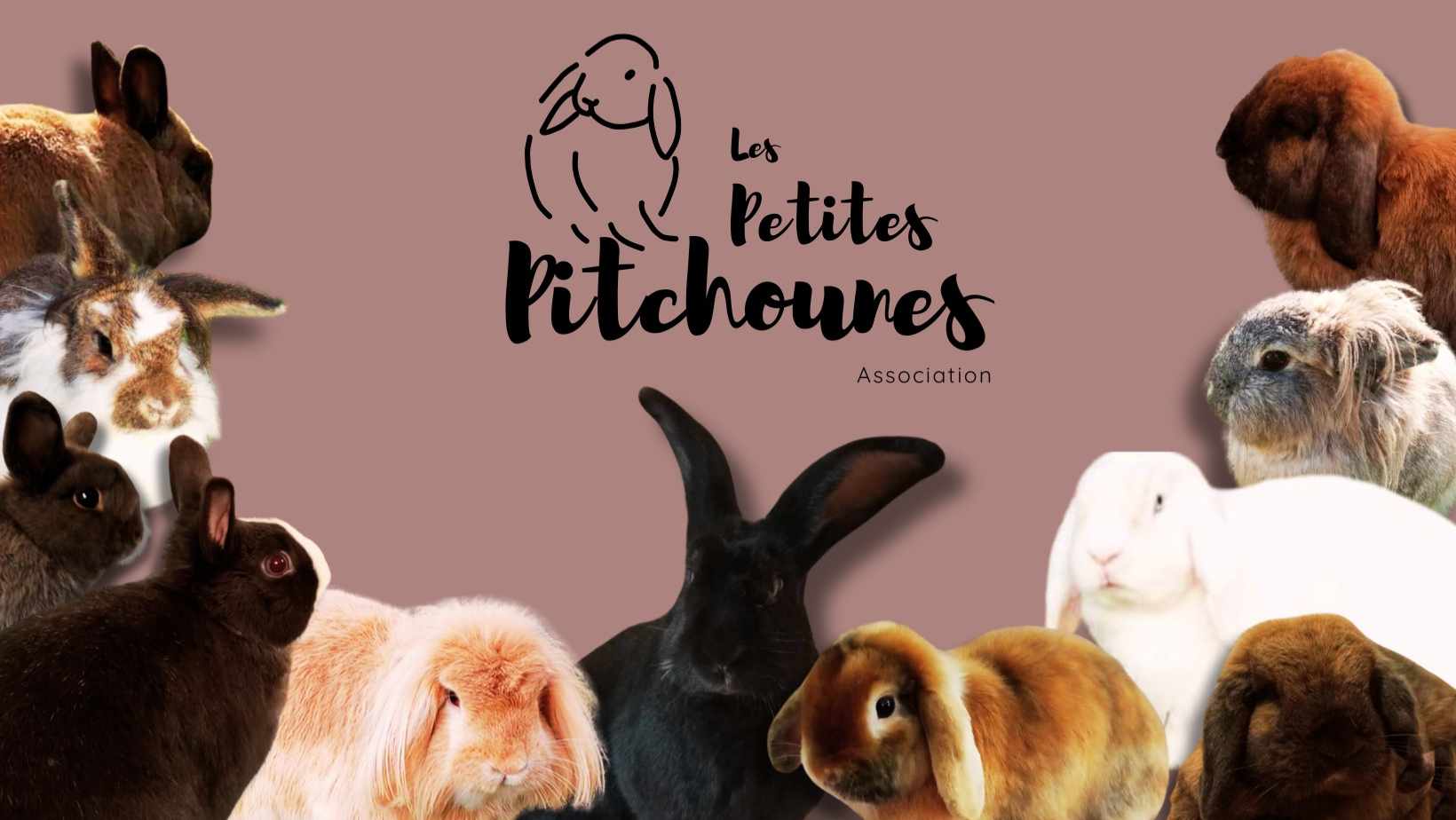 Les petites pitchounes