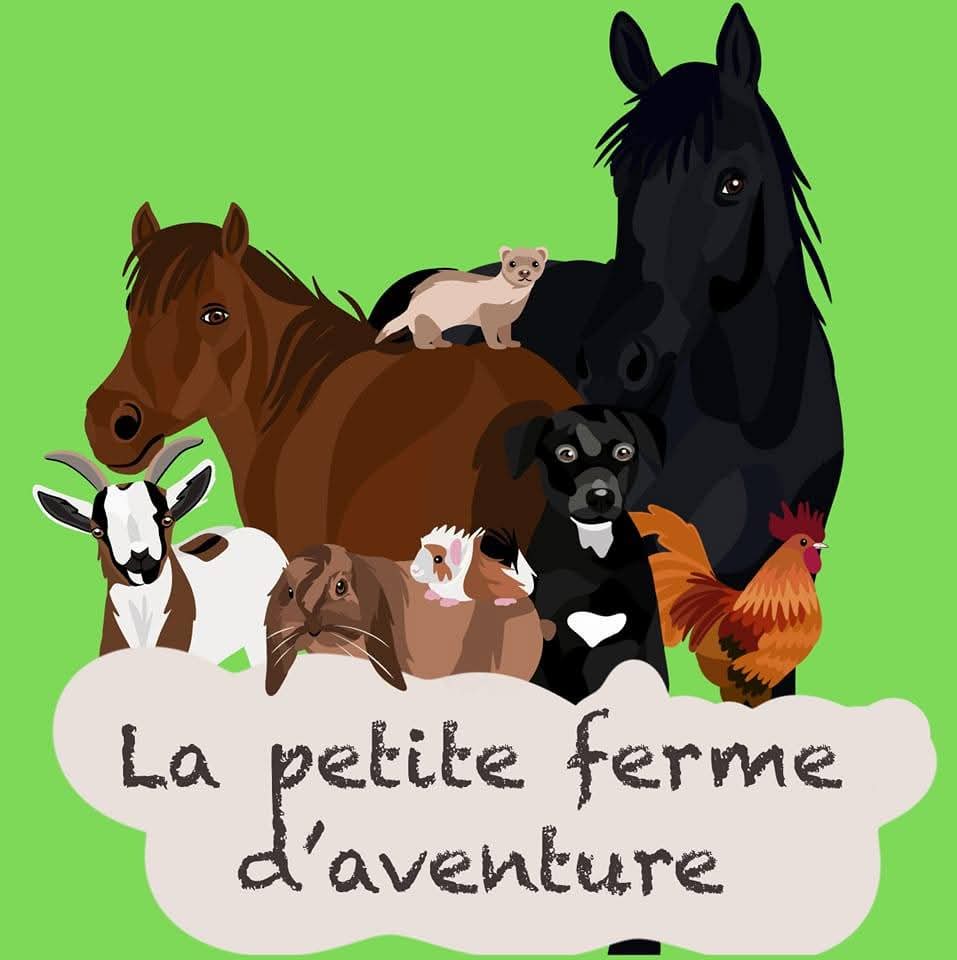 Teaming refuge d'Aventure