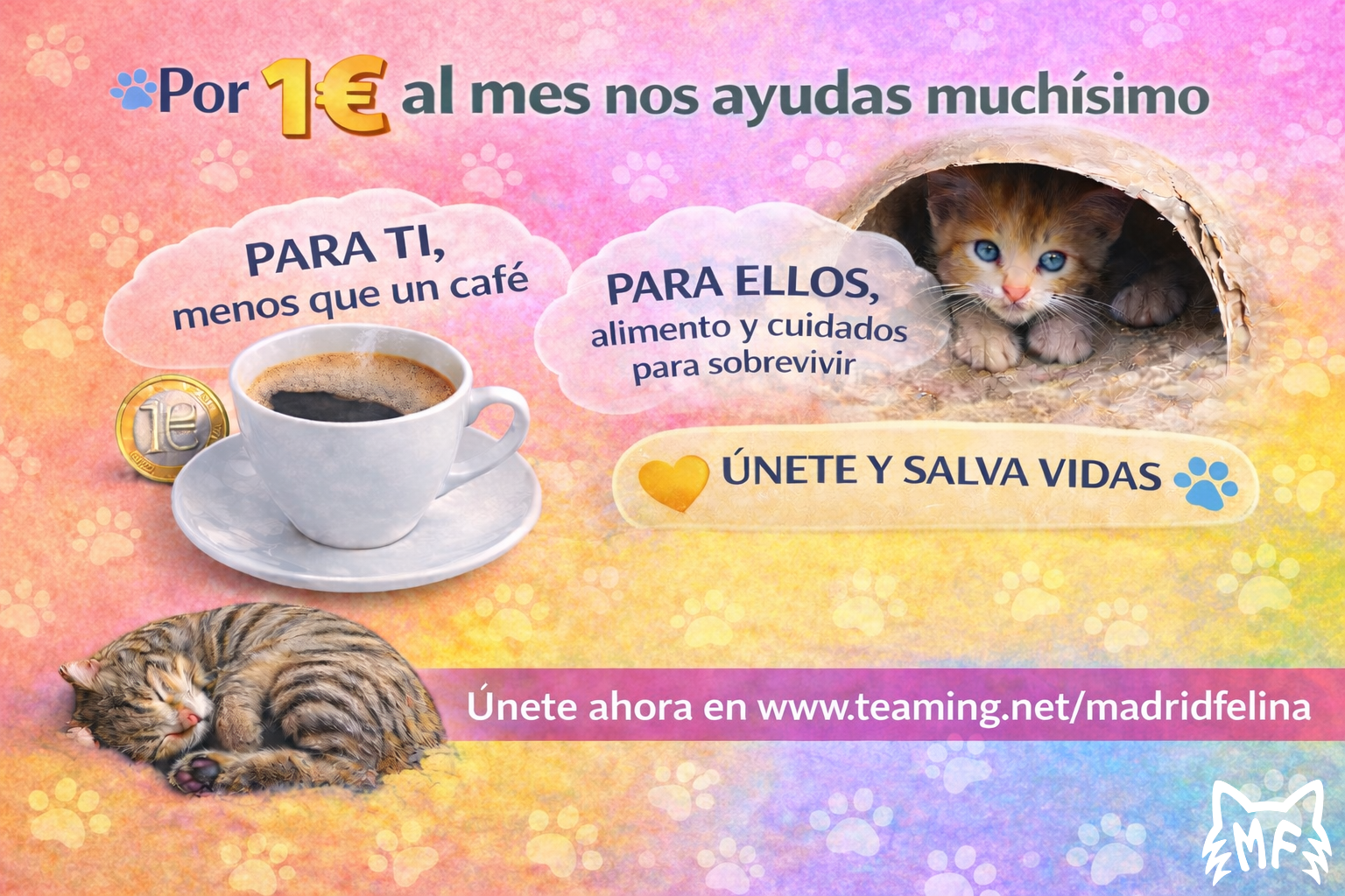 Madrid Felina