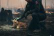 Association Wany The Pooh - Sauvetage des animaux dans les incendies