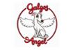 GALGOS ANGEL