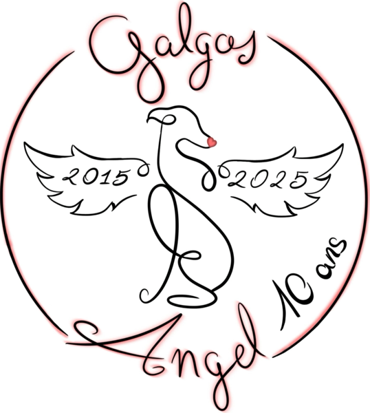GALGOS ANGEL