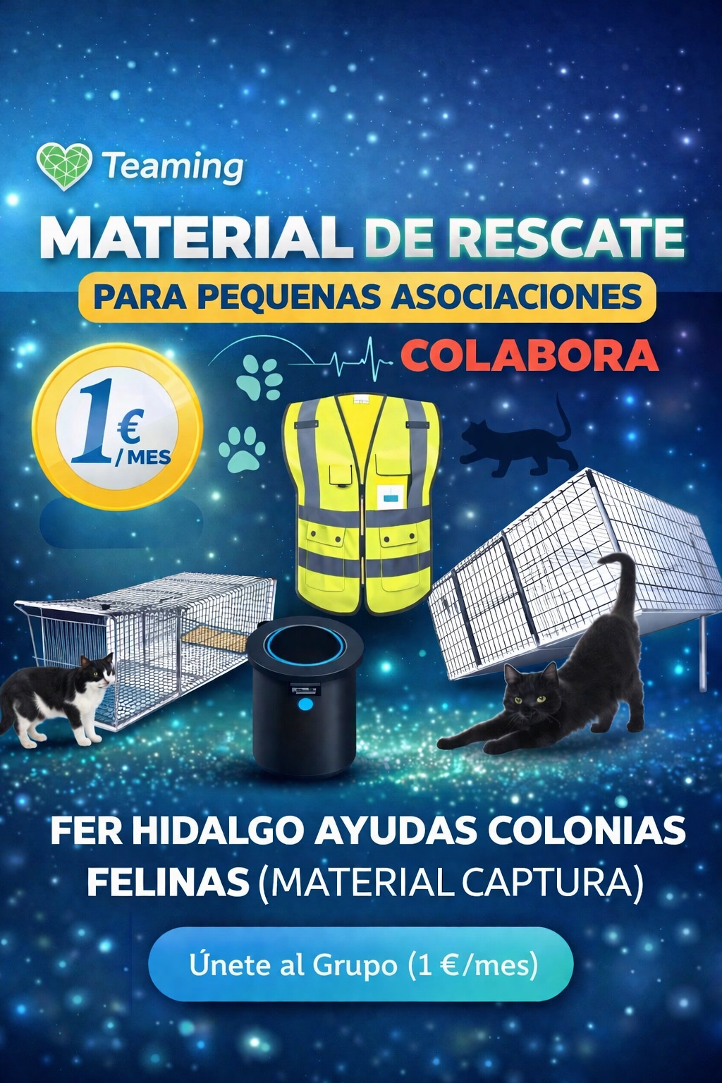 FER HIDALGO AYUDAS COLONIAS FELINAS