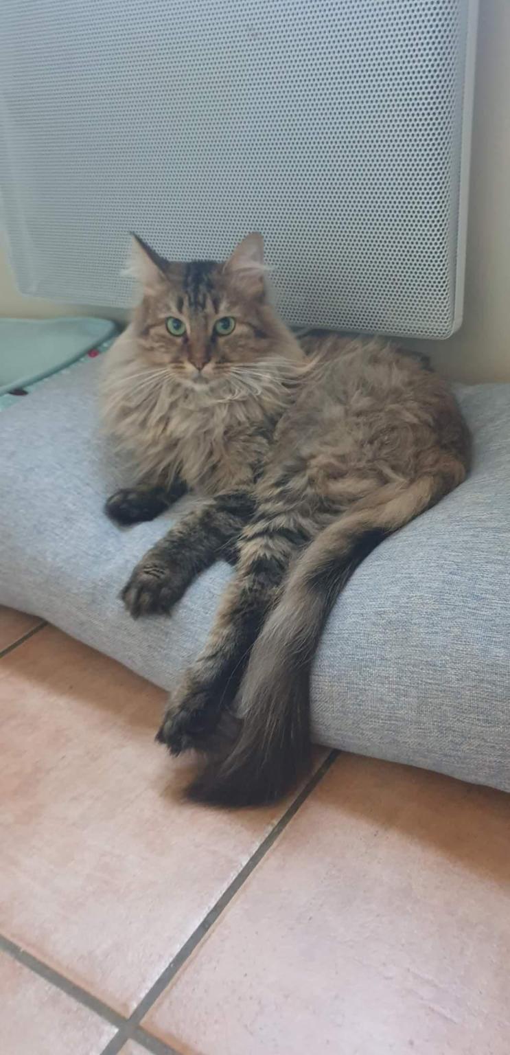 Association Poils O Pattes