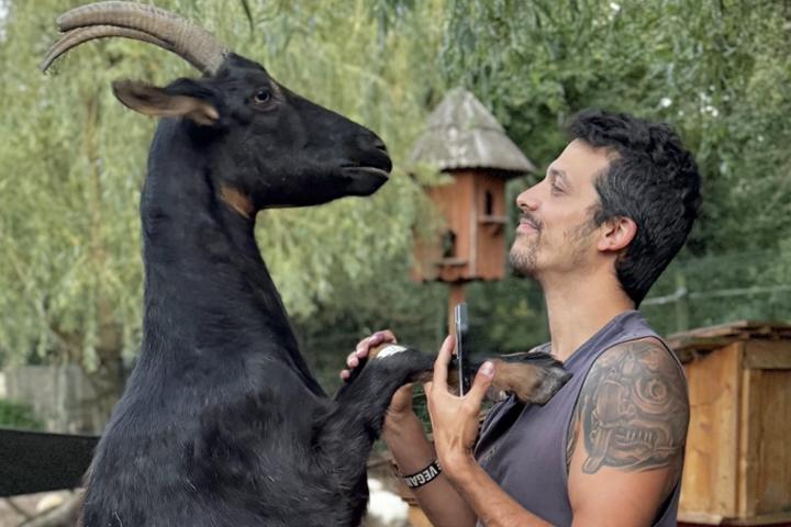 Por Los Animales