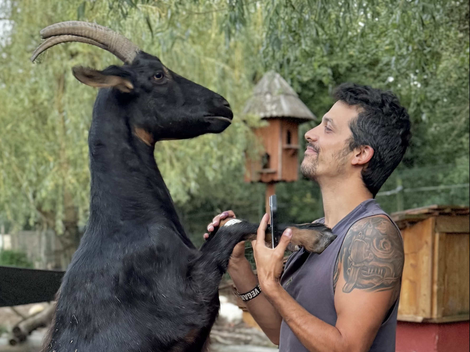 Por Los Animales