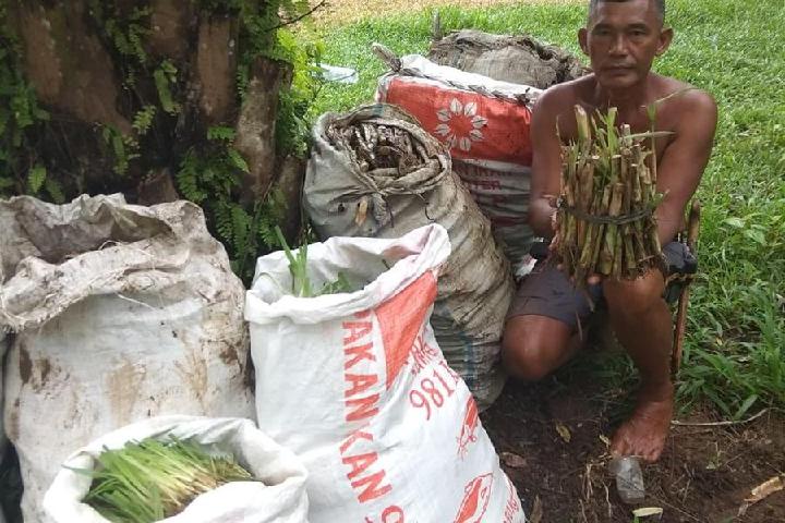 Conservación y desarrollo sostenible en el Norte de Sumatra