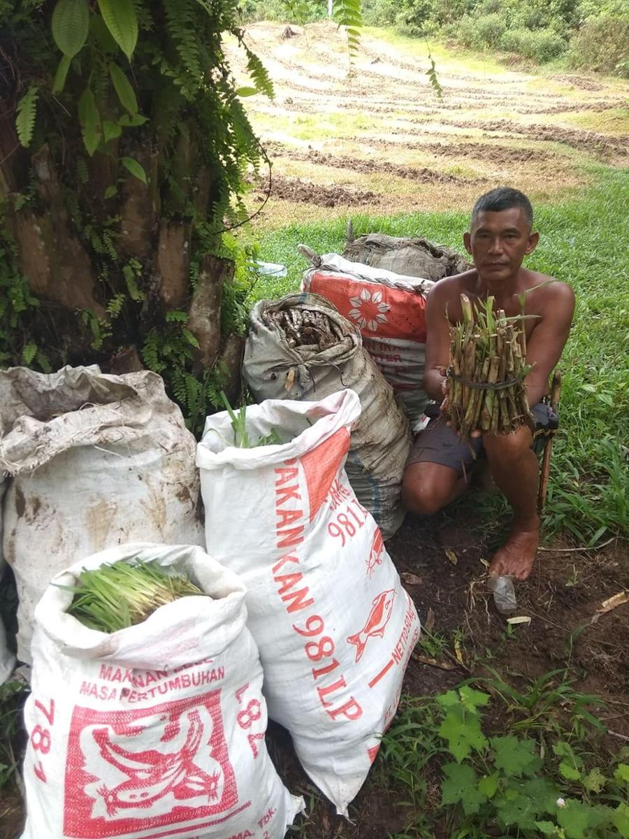 Conservation and Sustainable Rural Development in North Sumatra
