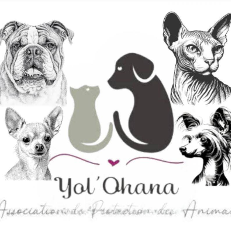 Association de protection Animale YOL'OHANA