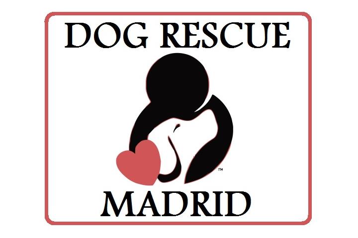 Dog Rescue Madrid ( Sierra Noroeste )