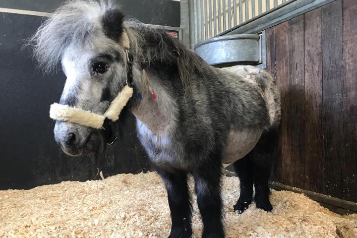 La Prairie se Rebelle ASBL