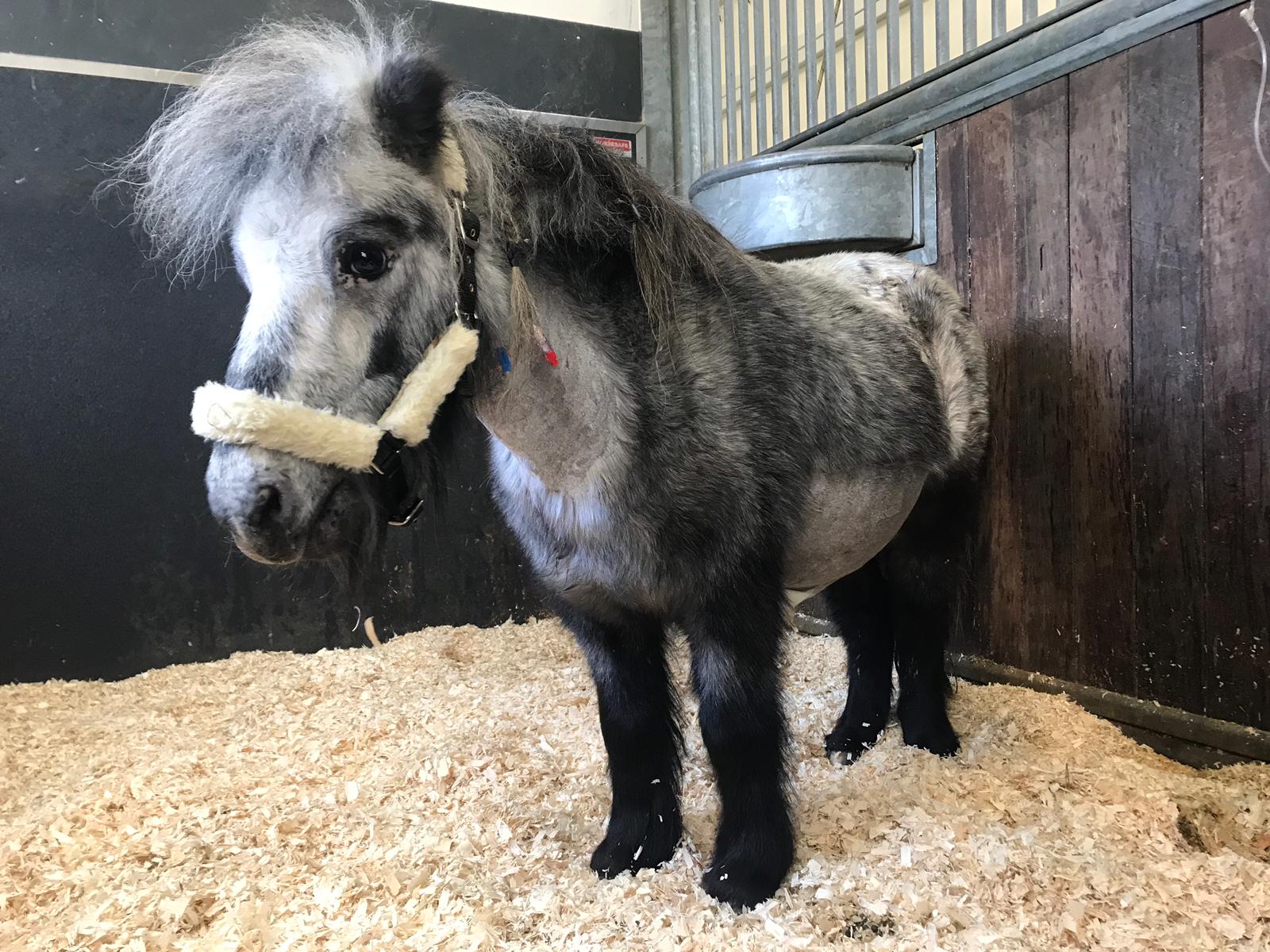 La Prairie se Rebelle ASBL