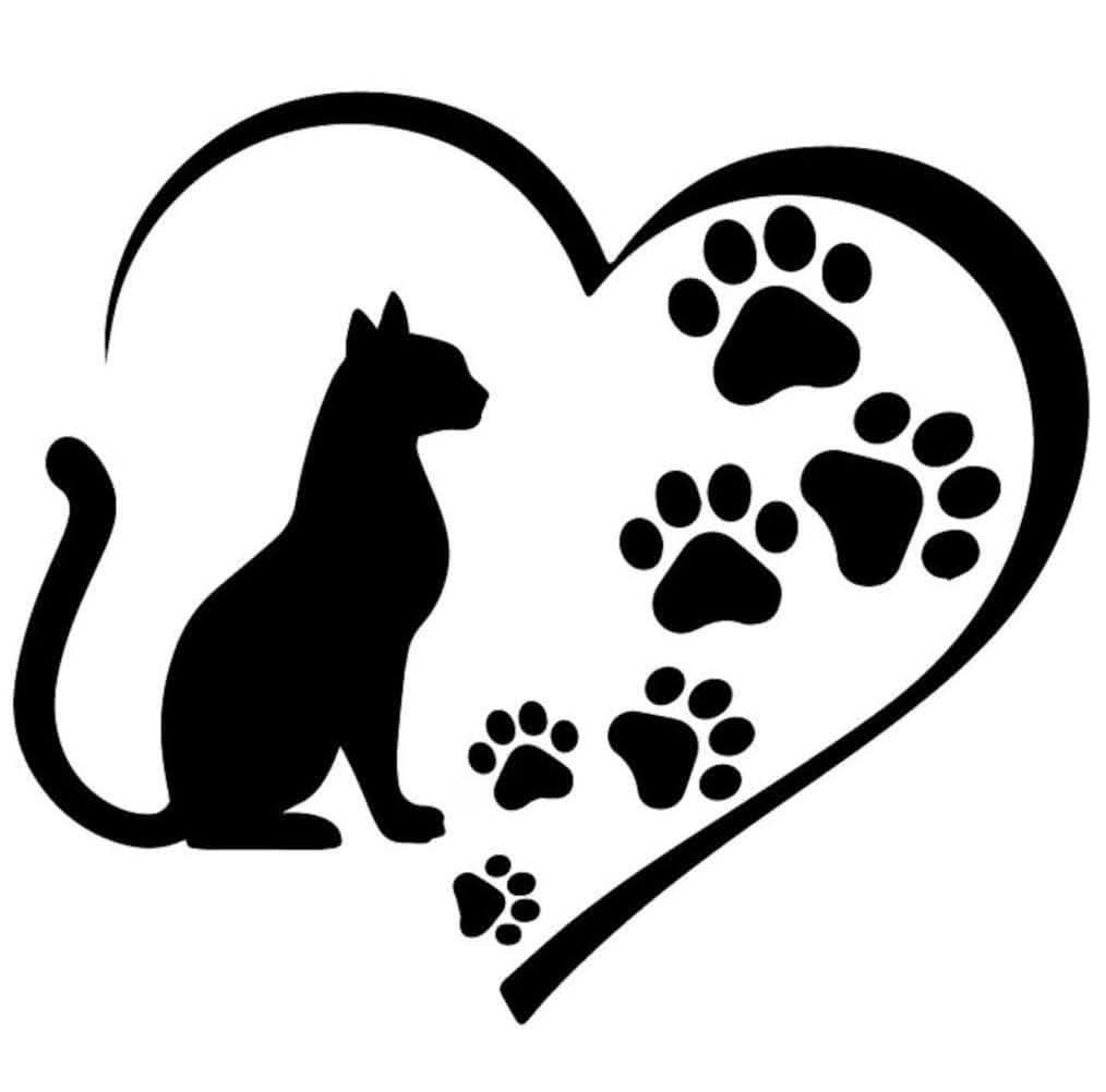 Association Un Cœur pour Miracle