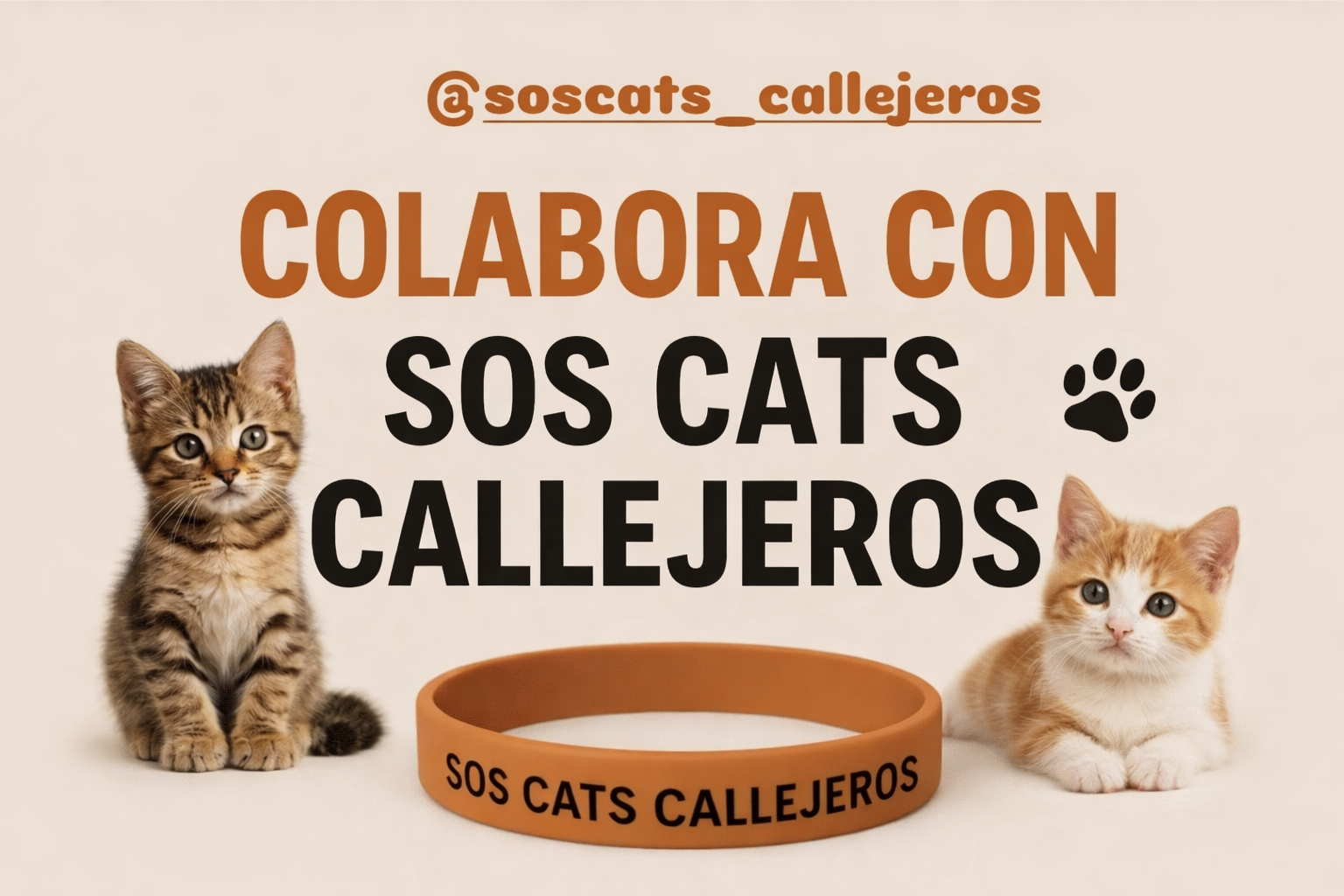 S.O.S. GATOS ABANDONADOS