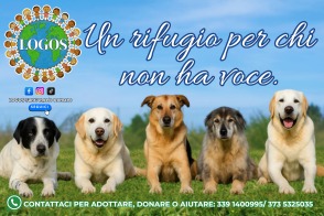 Logos S.Angelo Romano