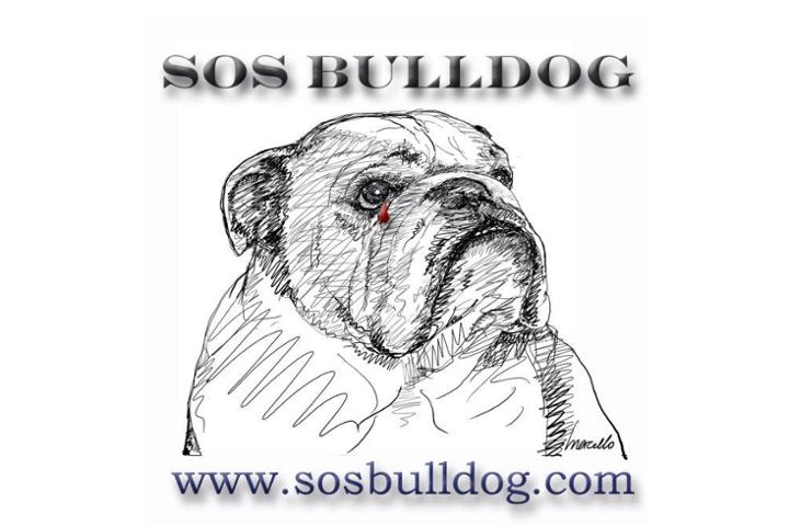 SOS BULLDOG FRANCE
