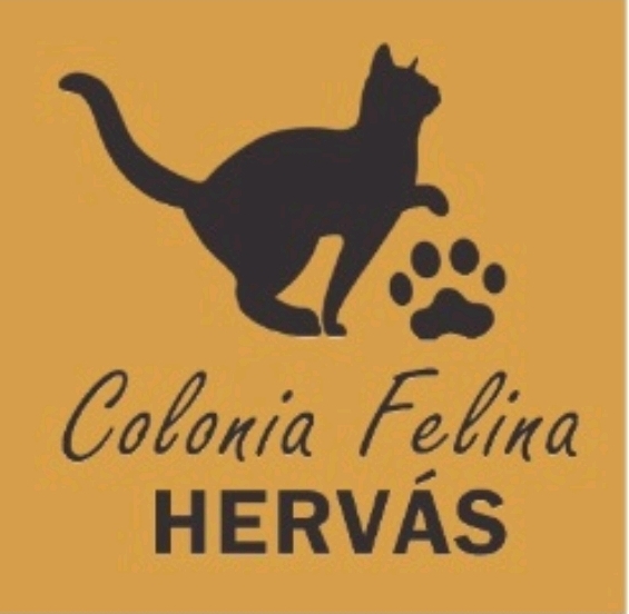 Asociación Colonia felina Hervás.