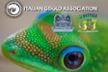 Italian Gekko Association (IGA) - Adotta un Rettile & Co.