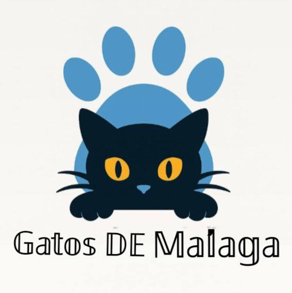 Asociación Gatos DE Málaga