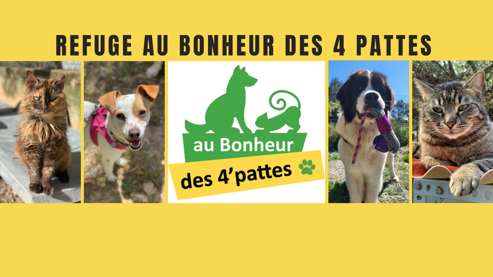 Au Bonheur des 4 Pattes Nîmes