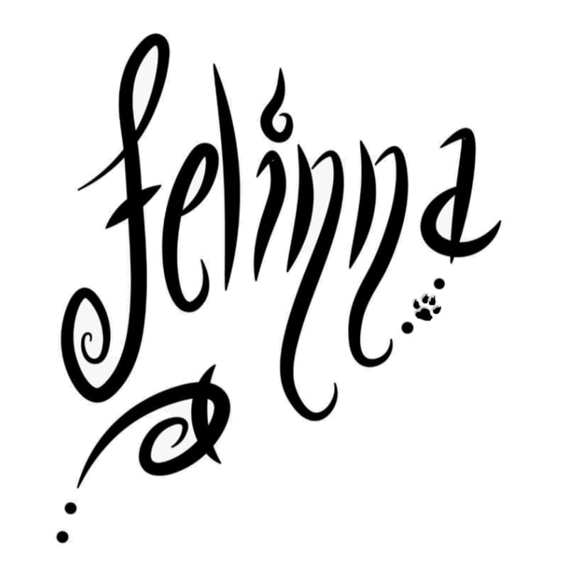 Asociación APA Felinna