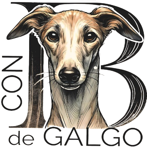 Con B de Galgo