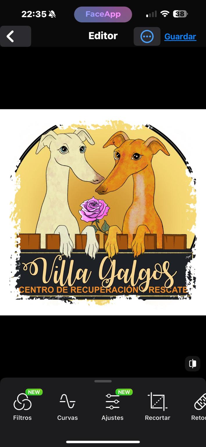 Con B de Galgo