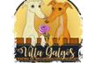 Con B de Galgo