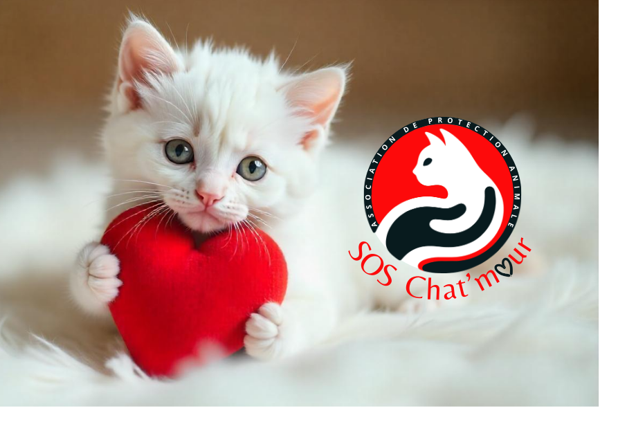 Association SOS Chat'mour