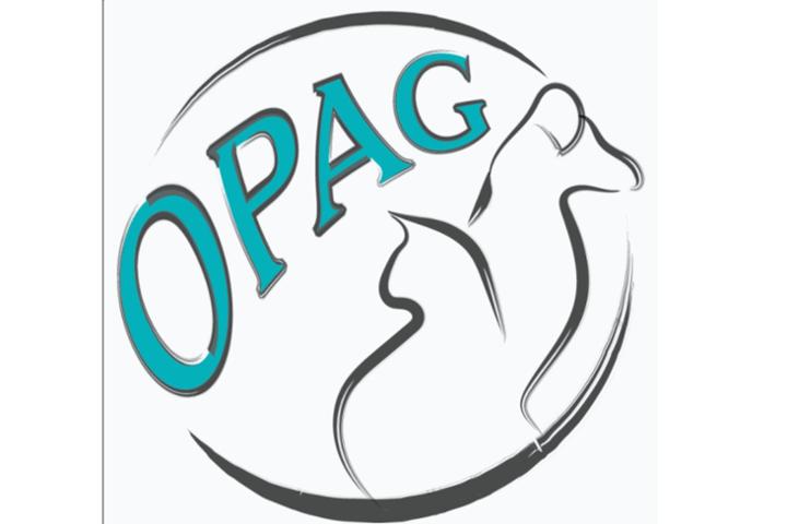 OPAG 971